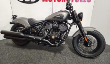 Indian Chief 2023 