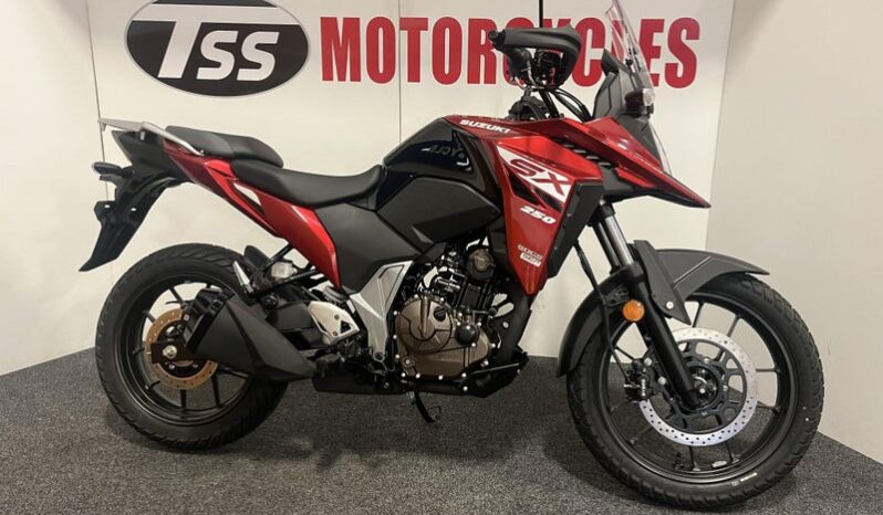 Suzuki DS250