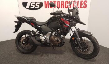 Suzuki DS250 2025 