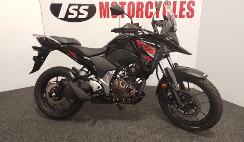Suzuki DS250
